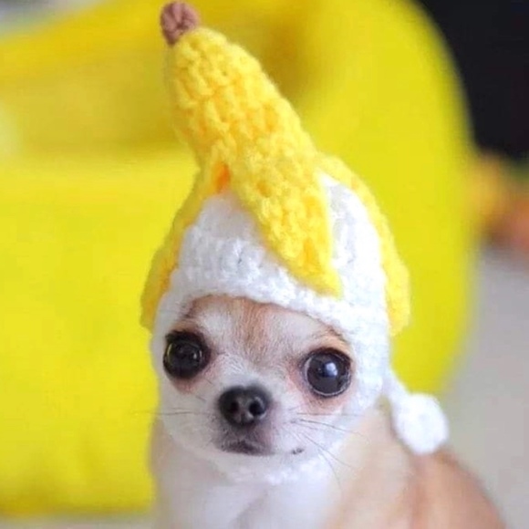 Meet your Posher, Chel - Picture 1 of 1